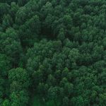 Bird's-eye view. Landscape from above